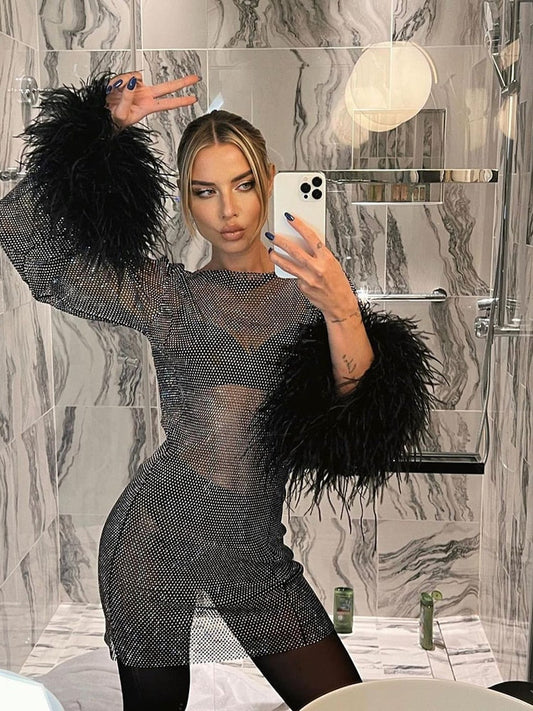 Sheer party dress with feather embellishments