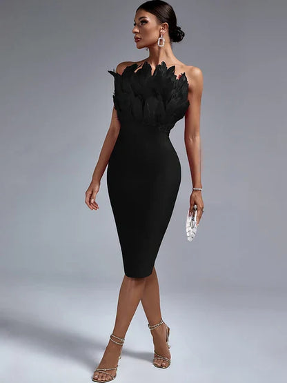 Stylish feather ribbon dress for women